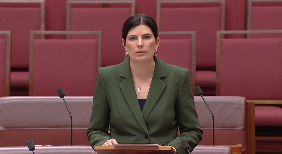 Matters of Public Importance - Cybersafety  Main Image