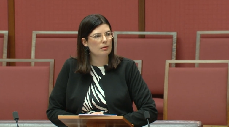 Electoral Matters Joint Committee Interim Report Main Image