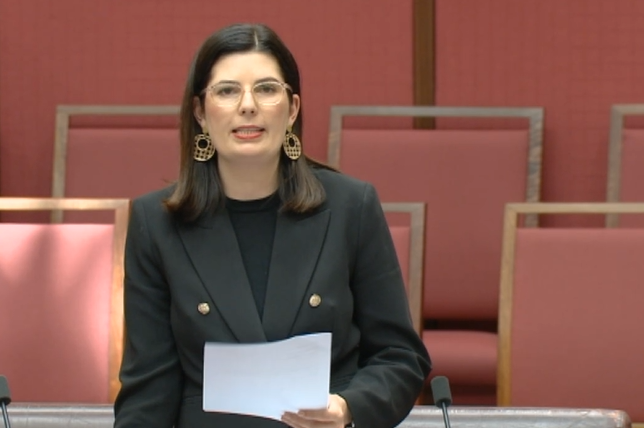 Youth Voice in Parliament Week - Statement Main Image