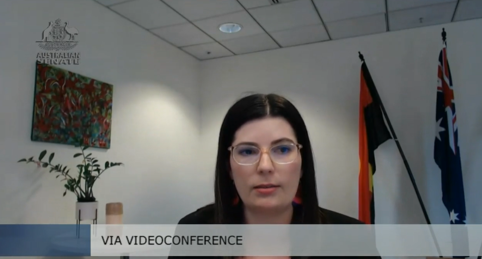 Senators' Statements - Jenkins Review Main Image