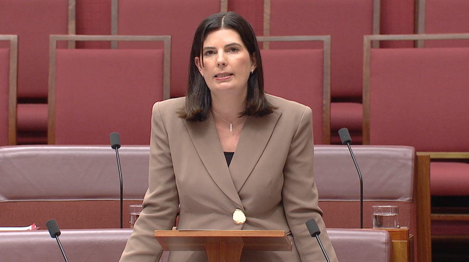 Statements by Senators - Aviation Industry Main Image