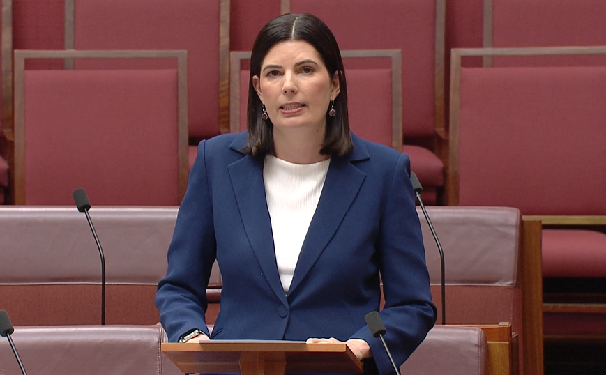 Statements by Senators - Postpartum Health Care Main Image